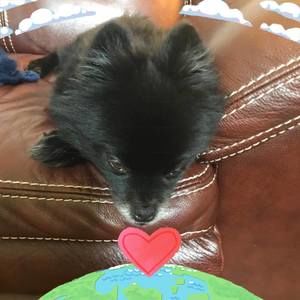 Meet your Posher, Sandra